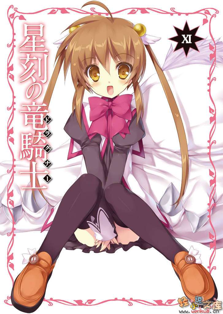 星刻龙骑士-插图_有度中文网